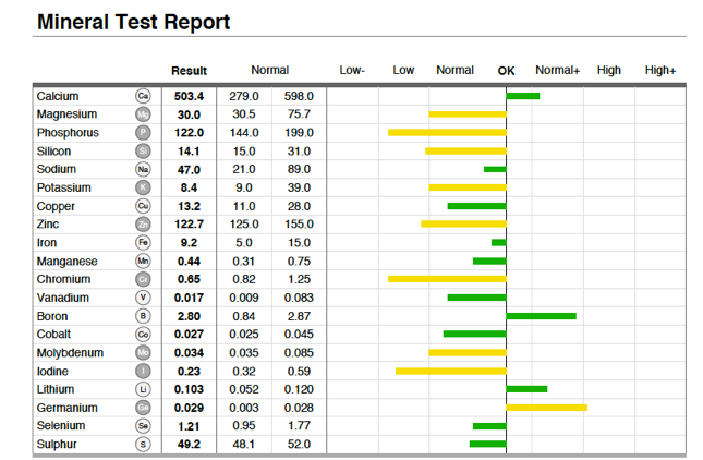 Sample OligoScan mineral and trace-element report